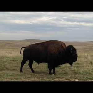 Meet your Posher, Mark